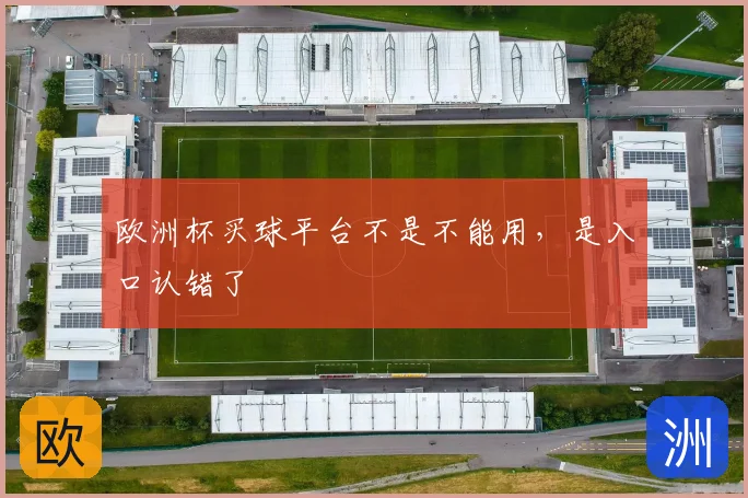 欧洲杯买球平台不是不能用,是入口认错了