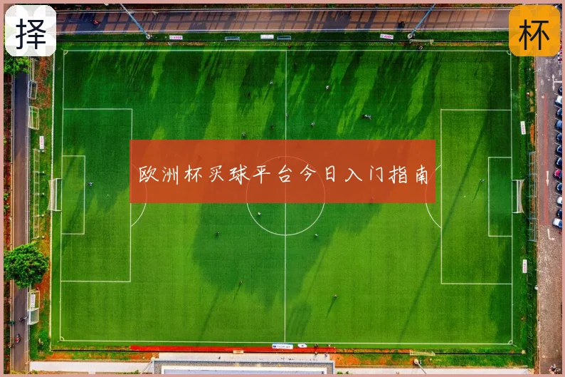 欧洲杯买球平台今日入门指南