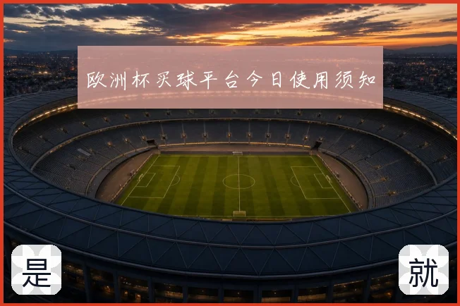欧洲杯买球平台今日使用须知