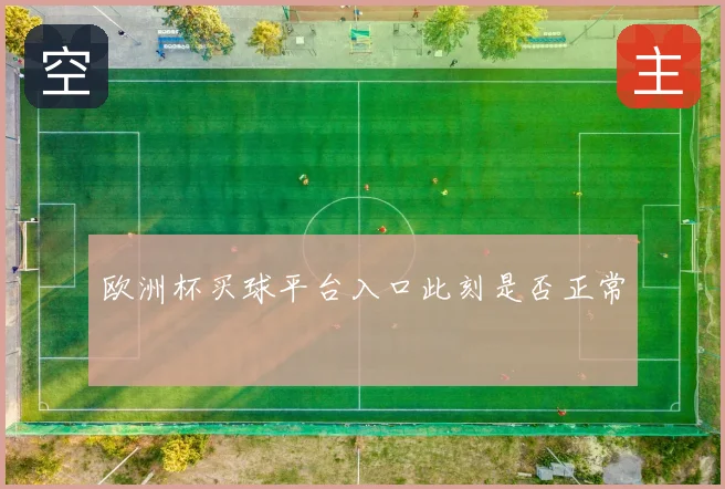 欧洲杯买球平台入口此刻是否正常